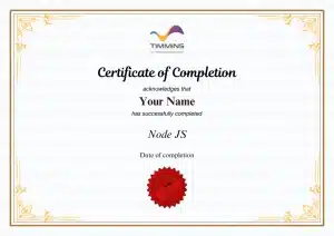 Node JS Certification, Timmins Training Consulting